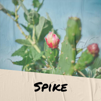 Various Artists - Spike