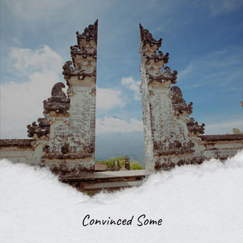 Various Artists - Convinced Some