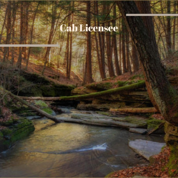 Various Artists - Cab Licensee