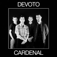 Medalla - Devoto Cardenal (Hacienda Somos Todos)