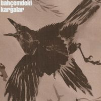 Vasi - Bahçemdeki Kargalar