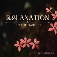 Wildlife - Relaxation In The Garden: Acoustic Guitar
