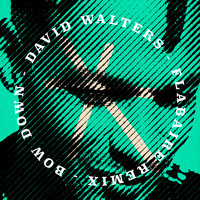 David Walters - Bow Down (Flabaire Remix)