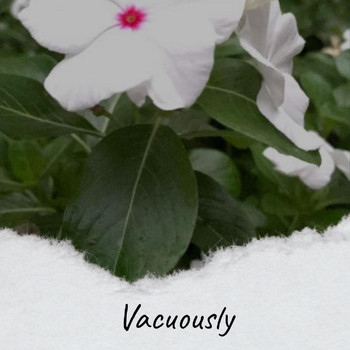Various Artists - Vacuously