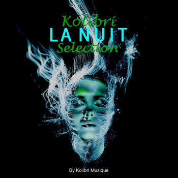 Various Artists - Kolibri - La Nuit Selection