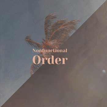 Various Artists - Nonfunctional Order