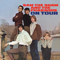 Sam The Sham & The Pharaohs - On Tour