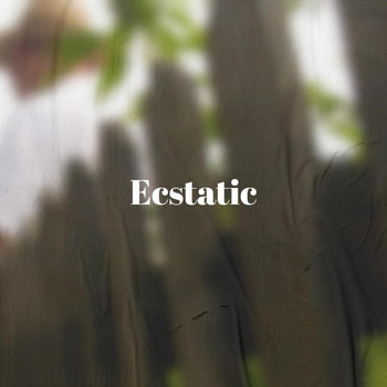 Various Artists - Ecstatic