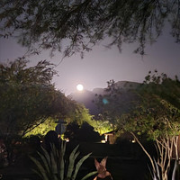 Mia Barnett - Glimmer