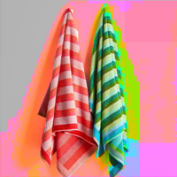 Karl Zine - Beach Towel (Explicit)