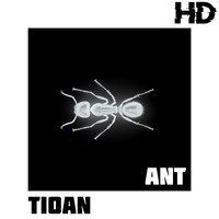 Tioan - Ant
