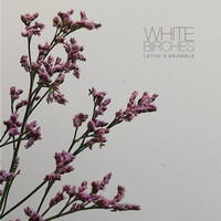 White Birches - Lethe's Bramble / Burning Autumn Skies
