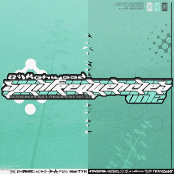 Various Artists - SPLIT FREQUENCIES, Vol. 2