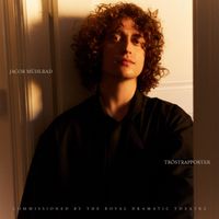 Jacob Mühlrad - Tröstrapporter