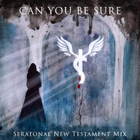 Indelible Scars & Seratonal - Can You Be Sure (Seratonal New Testament Mix)