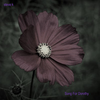 Steve K - Song for Dorothy