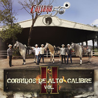 Calibre 50 - Corridos De Alto Calibre (Vol. II [Explicit])