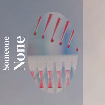 Various Artists - Someone None