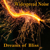 Widespread Noise - Dreams of Bliss
