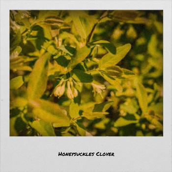 Various Artists - Honeysuckles Clover