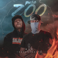 200 - Puse 200 (feat. Temperamento)
