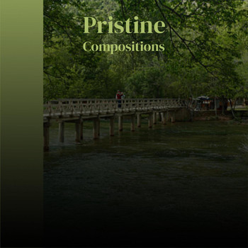 Various Artists - Pristine Compositions