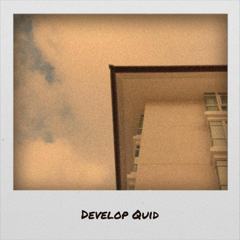 Various Artists - Develop Quid