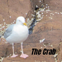 Shawn Charlebois - The Crab