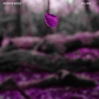 Vicente Roca - Falling
