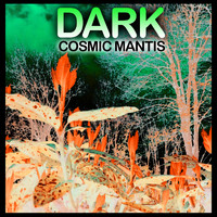 Cosmic Mantis - Dark