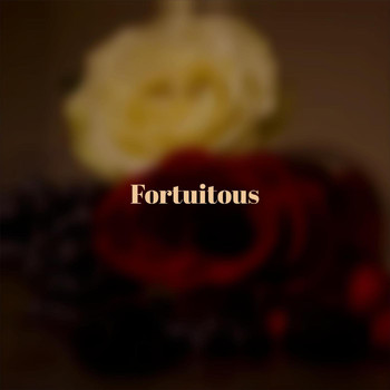 Various Artists - Fortuitous