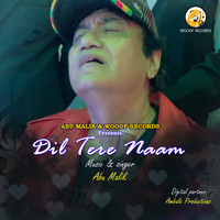 Abu Malik - Dil Tere Naam
