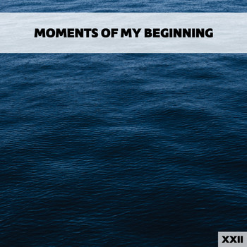 Various Artists - Moments Of My Beginning XXII