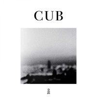 Cub - C U 1