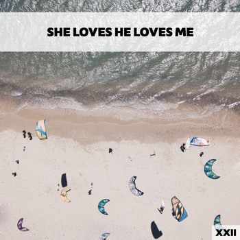 Various Artists - She Loves He Loves Me XXII