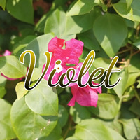 Violet - Violet