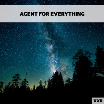 Various Artists - Agent For Everything XXII