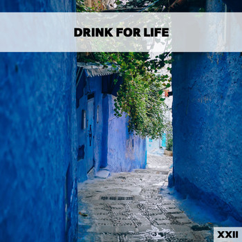 Various Artists - Drink For Life XXII