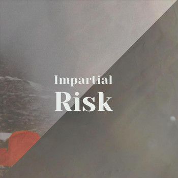 Various Artists - Impartial Risk