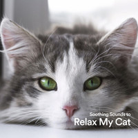 Cat Music, Music For Cats, Cats Music Zone - Soothing Sounds to Relax My Cat