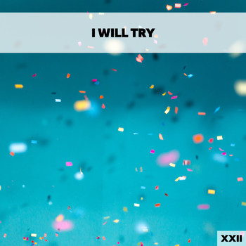 Various Artists - I Will Try XXII