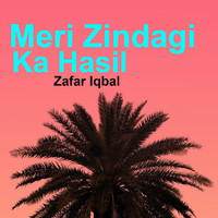 Zafar Iqbal - Meri Zindagi Ka Hasil