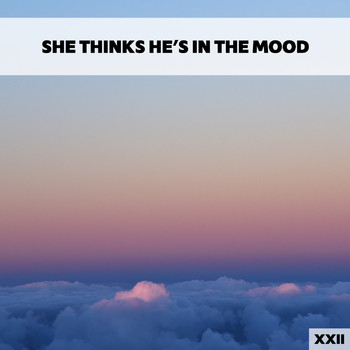 Various Artists - She Thinks He's In The Mood XXII