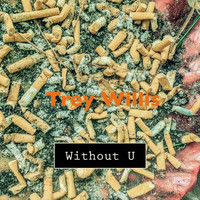 Trey Willis - Without U