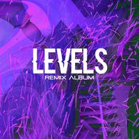 DVRKO, Mike Taylor, DJ Bizzy - Levels (The Remixes)