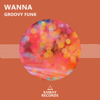Wanna - Groovy Funk