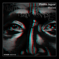 Piedra Jaguar - Walixé