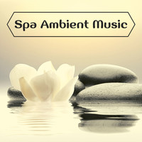 Calming Music Academy - Spa Ambient Music: Relaxing Instrumental Music for Body & Mind Wellness