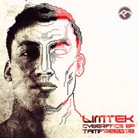 Limtek - Cyberface