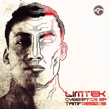 Limtek - Cyberface
